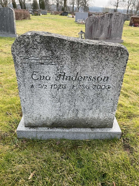 Grave number: Ärt 96 36 19