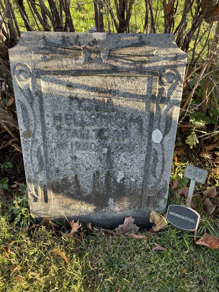 Gravnummer: GK A 3   558