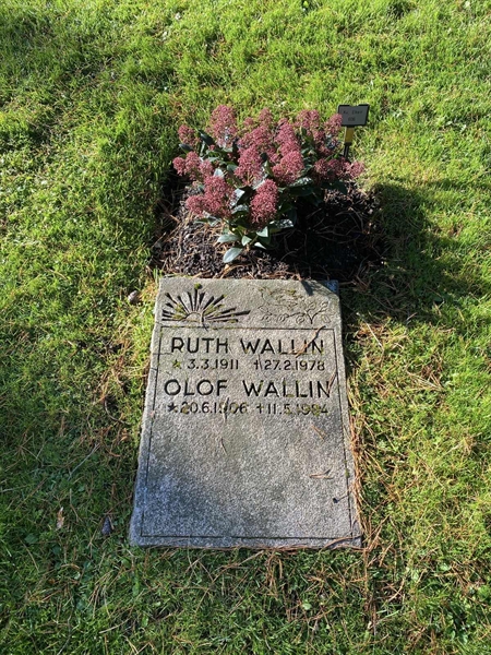 Hautatunnus: 2 E   606