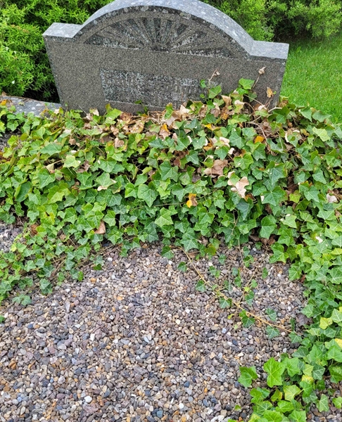 Gravnummer: JÄ 4   26
