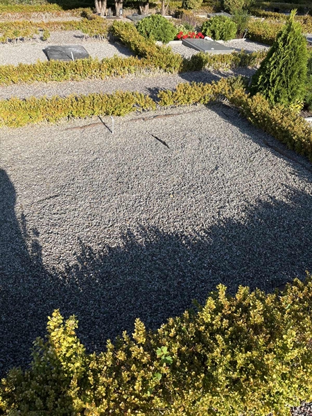 Grave number: NK X 258-259