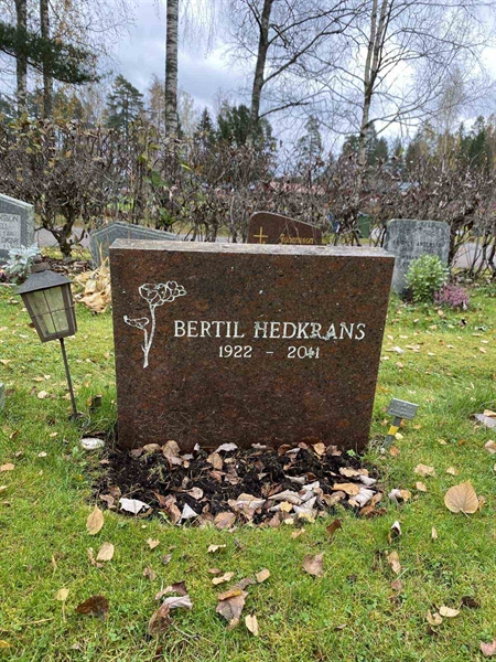 Grave number: 1 29     52