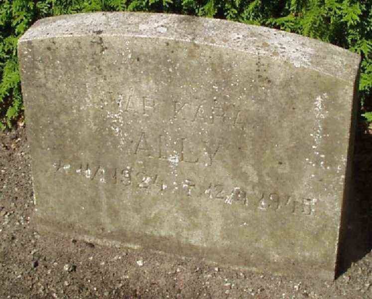 Grave number: VK IV    33