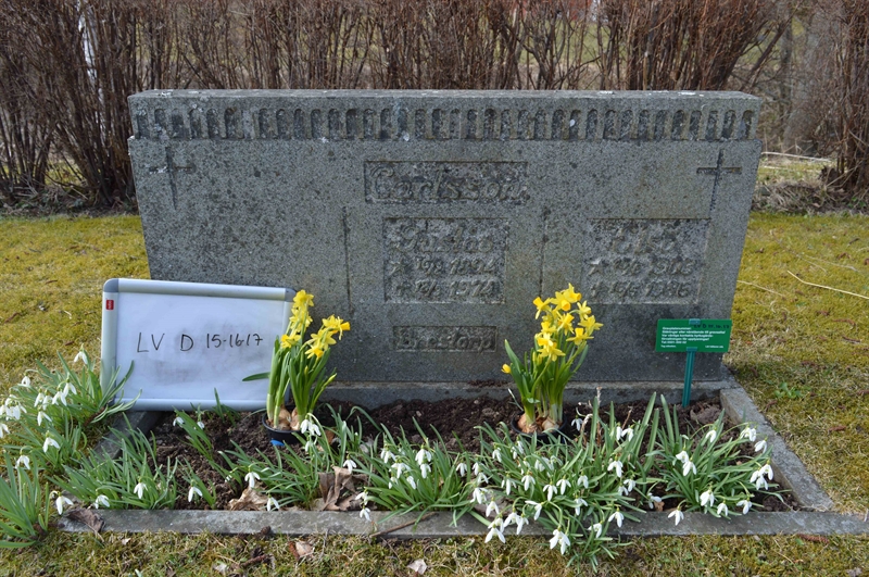 Grave number: LV D    15, 16, 17