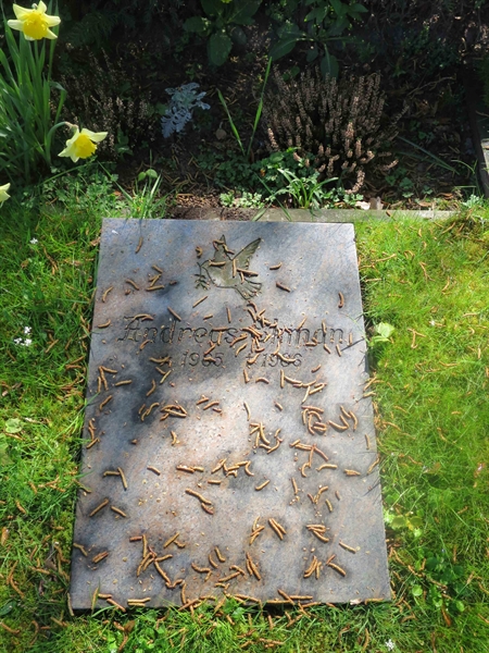 Grave number: HÖB 77    39