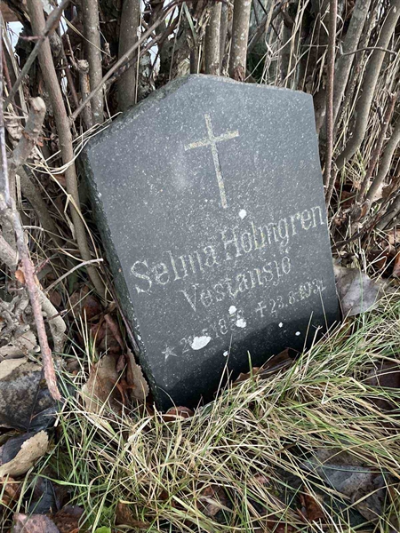 Hautatunnus: GK A 5    42V