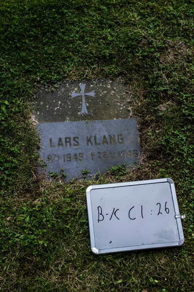 Hautatunnus: Bkl I C    26