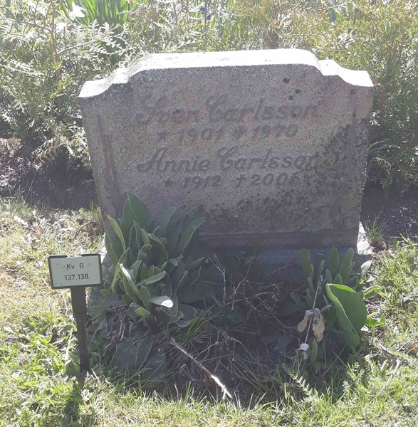 Grave number: M G  137, 138