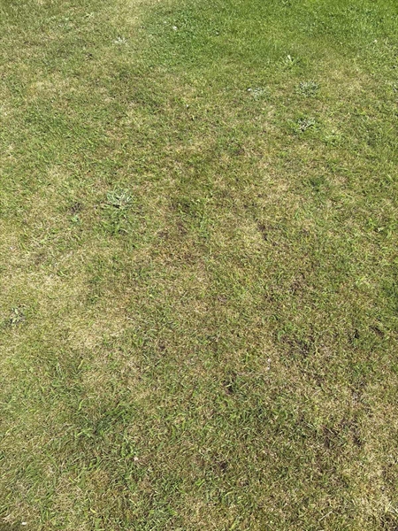 Grave number: SKF E   145, 146