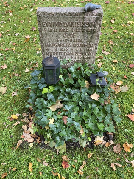 Hautatunnus: 1 H   166