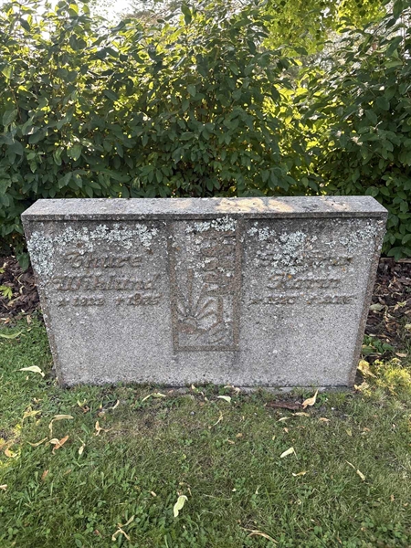 Hautatunnus: 1 C1     5-6
