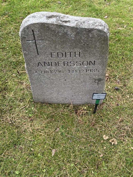 Hautatunnus: 2 C   928