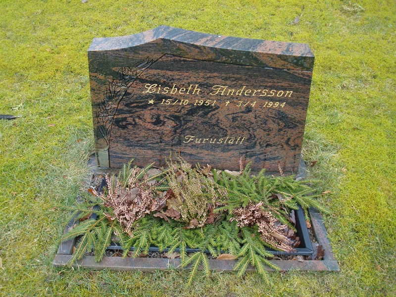 Grave number: BR D    25, 26