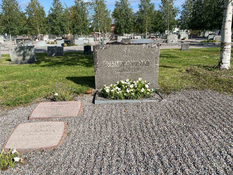 Grave number: 2 05   229