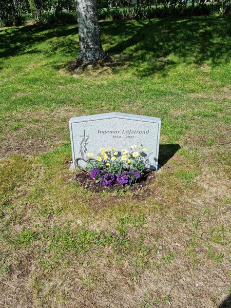 Grave number: D N 4  1178-1179