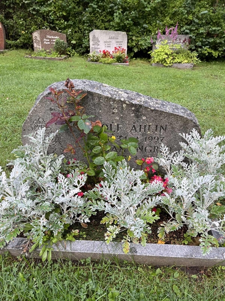 Grave number: 5 01   117
