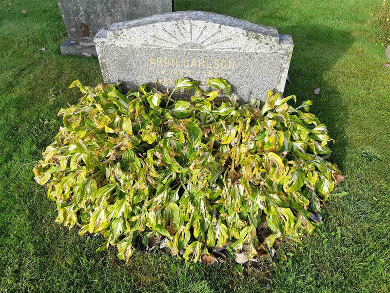 Hautatunnus: Fr 8   577-579