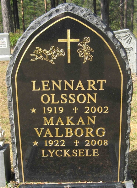 Grave number: 3 01    48