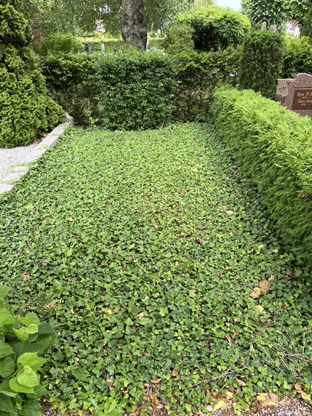 Grave number: NK II    59