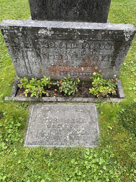 Grave number: MV II    42