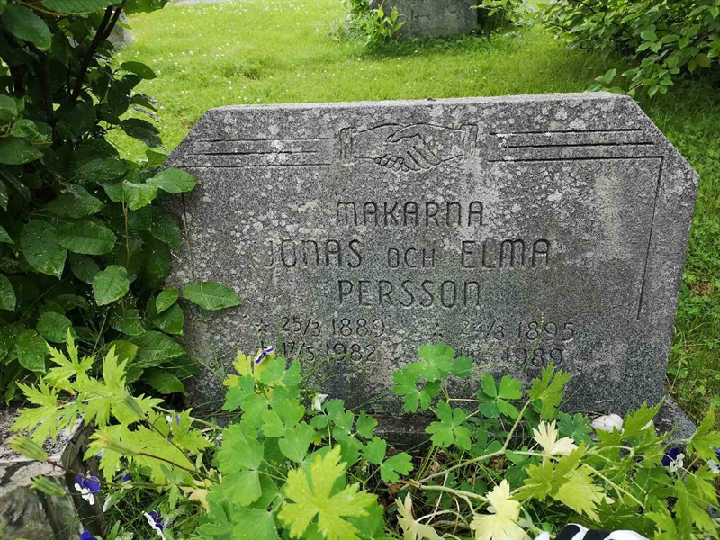 Hautatunnus: NK 12     2