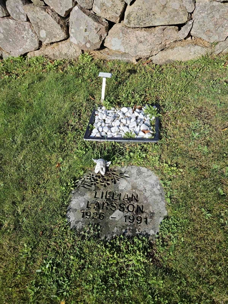 Grave number: Fr 5   875