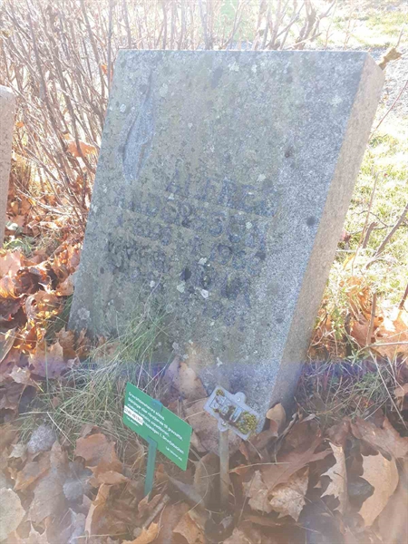 Gravnummer: GK U 2    56