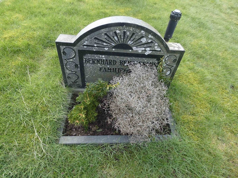 Grave number: BR G    50a