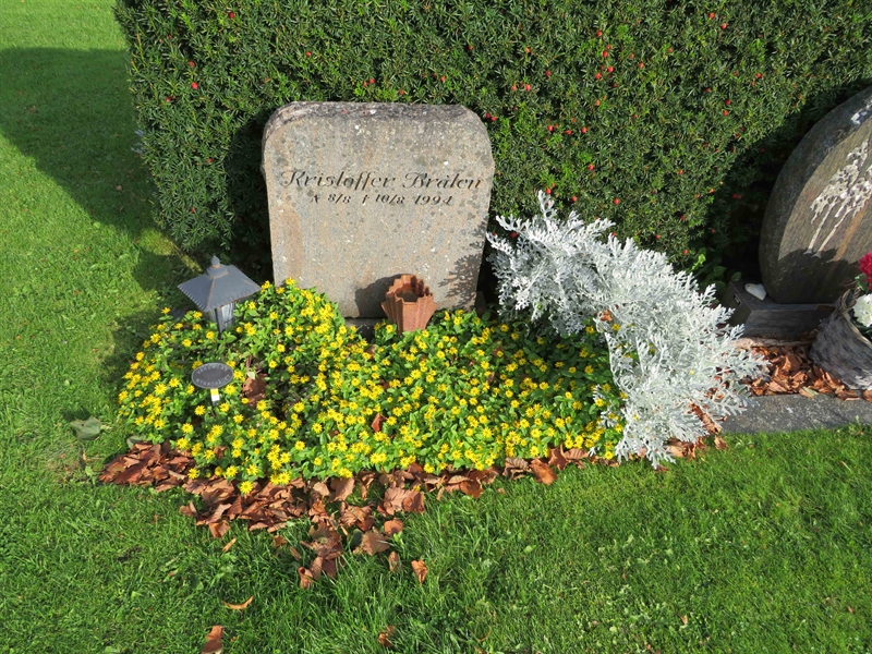 Grave number: 1 08   65