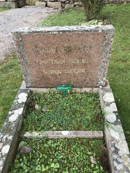 Grave number: B 01   215