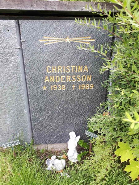 Gravnummer: GK U 4   209