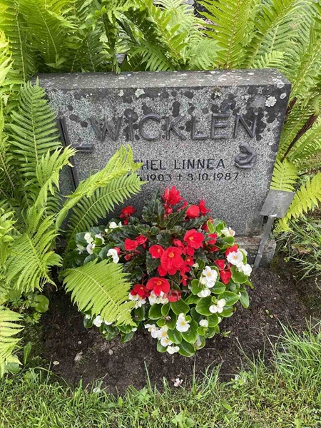 Hautatunnus: N 4 4   640a