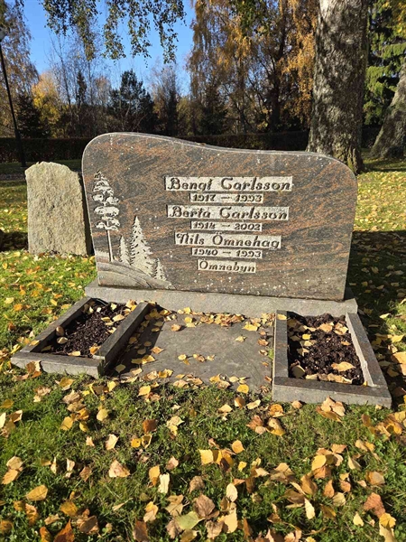 Grave number: Ö B A   265-266