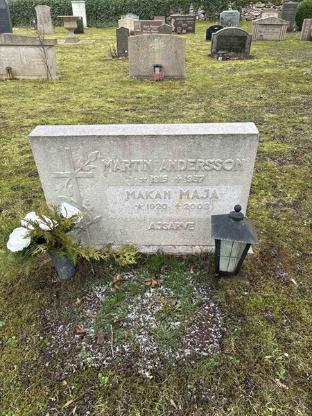 Gravnummer: LE   295