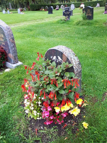 Hautatunnus: NK F D   294