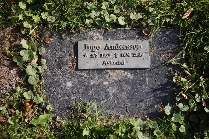 Grave number: 8 AGP     4