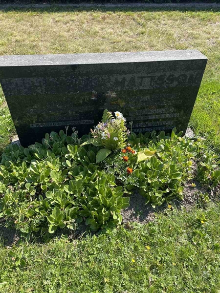 Grave number: N 5 1     8