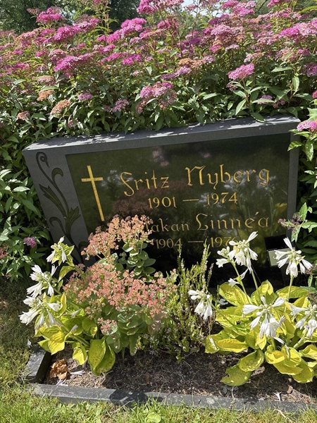 Grave number: TUR  1615