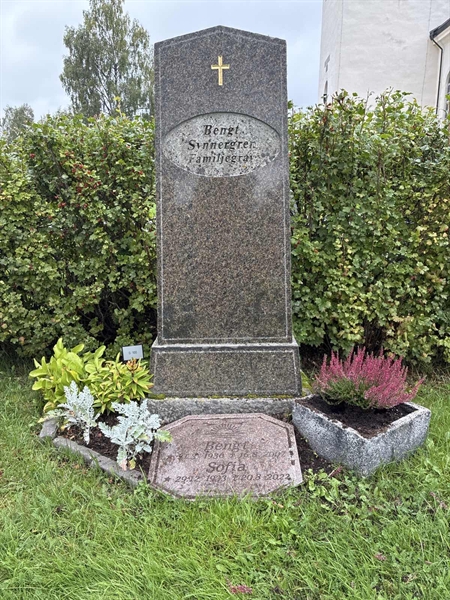 Gravnummer: 1 G   100