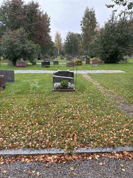 Hautatunnus: NK 06    58