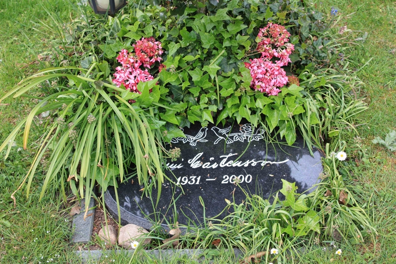 Grave number: Ö 46   113