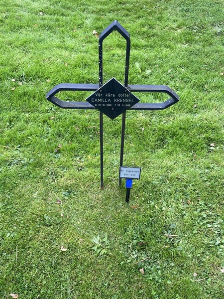 Gravnummer: 2 C   644-645