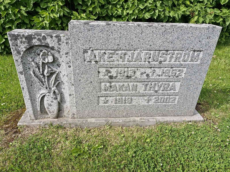 Hautatunnus: 1 SALIG 49-50