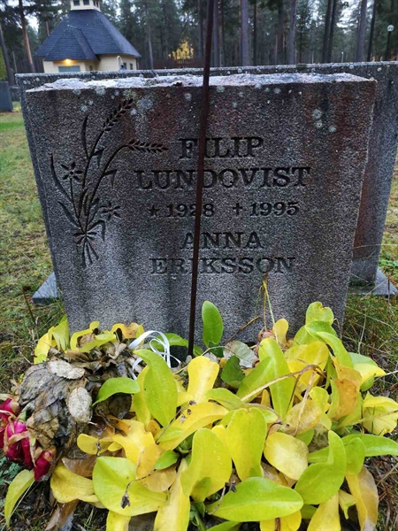 Hautatunnus: VLM 14    84-85