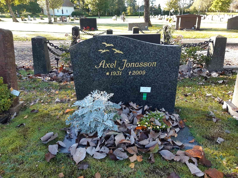 Gravnummer: Fr 7   966