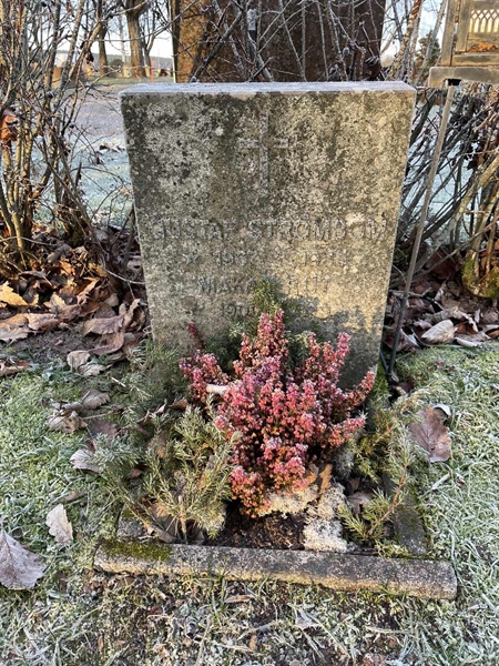 Hautatunnus: H 9    51-52