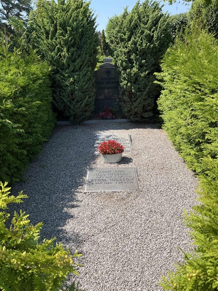 Grave number: NK VII    66