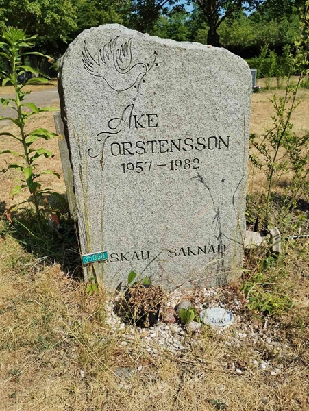 Grave number: NÅ 35    98, 99