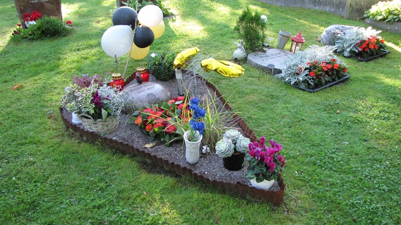 Grave number: HG MÅSEN   549