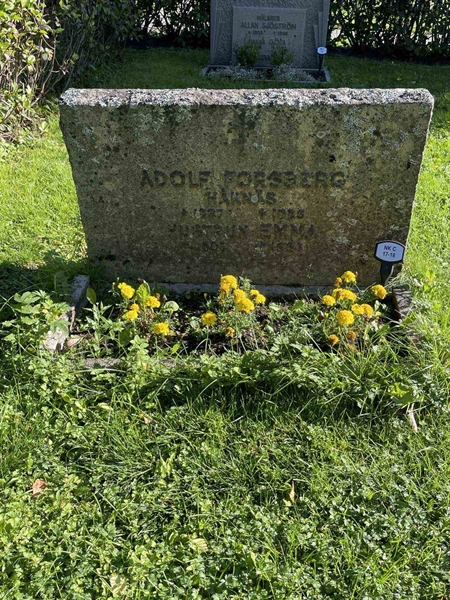 Grave number: 6 C    17-18
